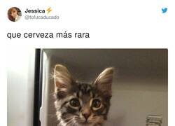Enlace a Es una Miau, por @tofucaducado