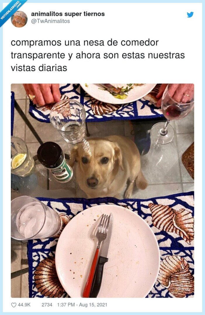 transparente,mesa,diarias,vistas