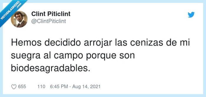 biodesagradables,decidido,arrojar,cenizas,suegra