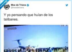 Enlace a Las desgracias nunca llegan solas, por @moedetriana