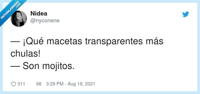 transparentes,macetas,mojitos