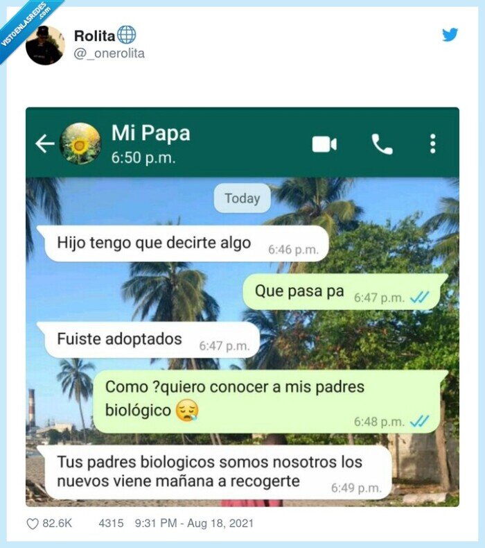 whatsapp,conversación,adoptados
