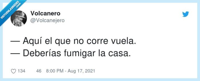 deberías,fumigar,corre,vuela,casa