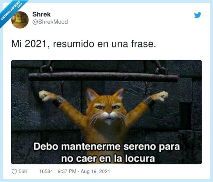 resumido,2021,locura,sobrevivir