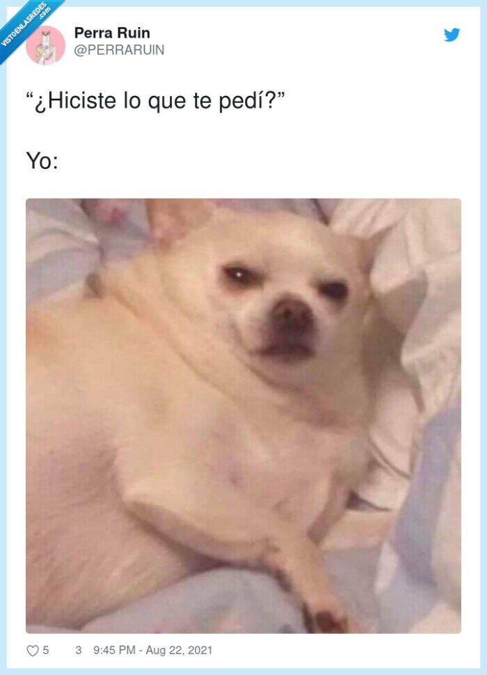 pedir,recordar,hiciste