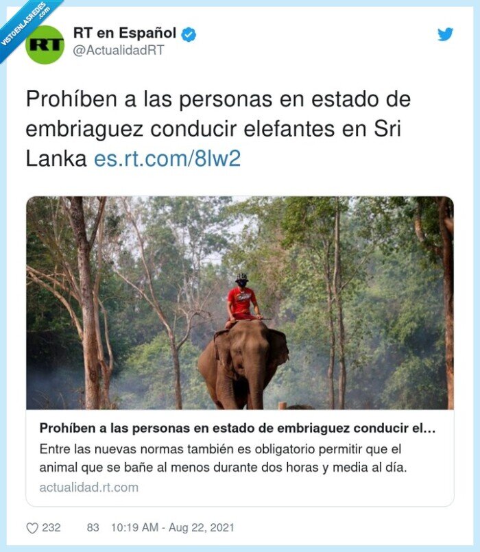 embriaguez,prohíbir,elefantes,personas,conducir