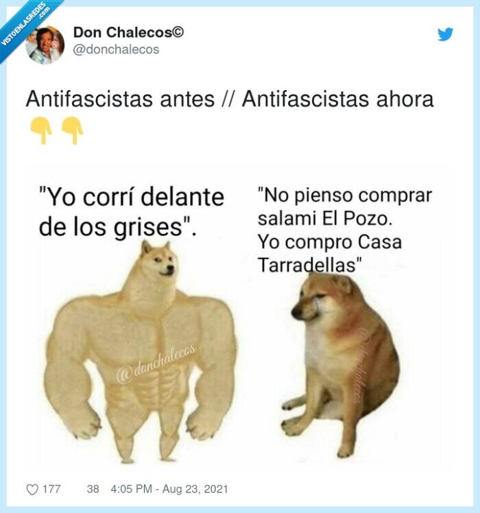 antifascistas,ahora,antes,cheems,doge