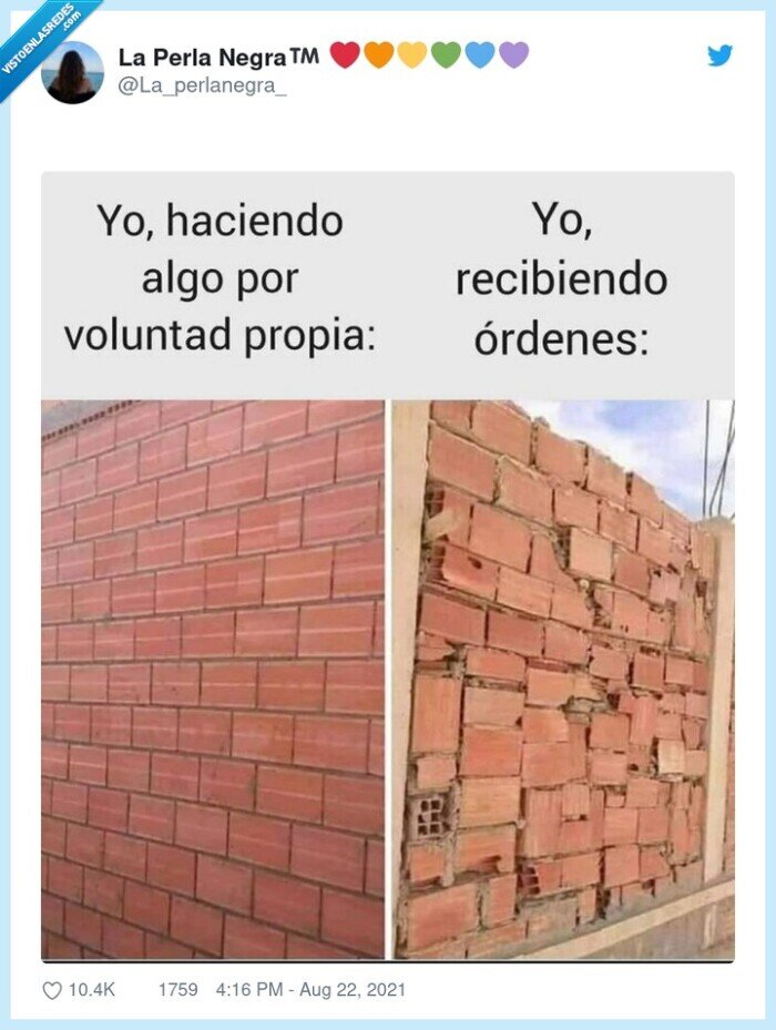 pared,voluntad propia,ordenes,ladrillos