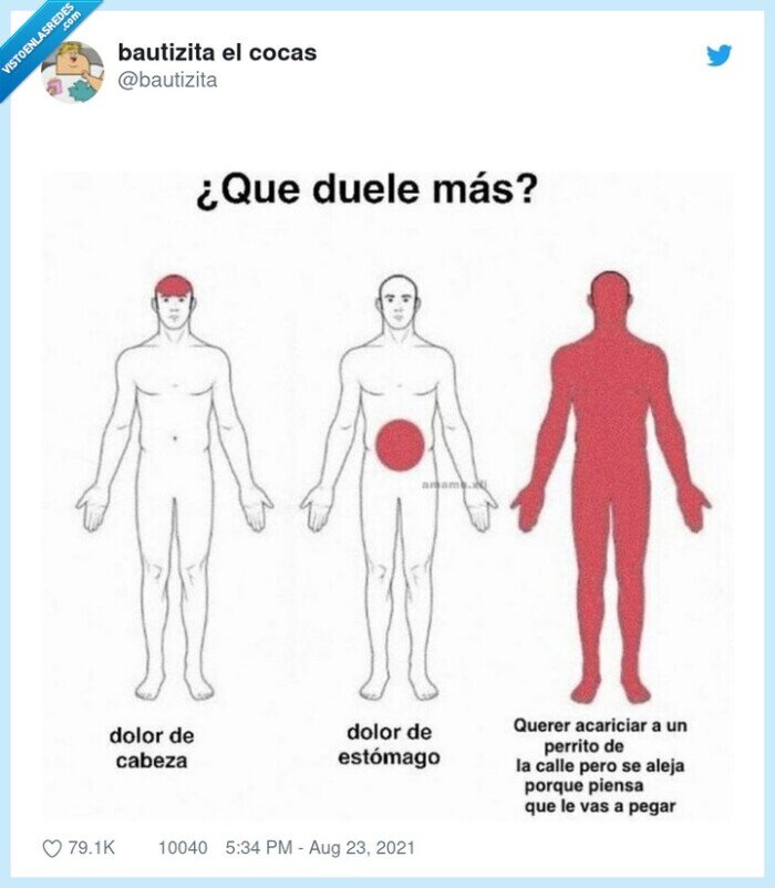 doler,perrito,acariciar