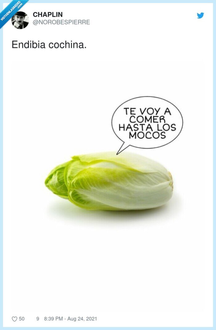 endibia,cochina,envidia