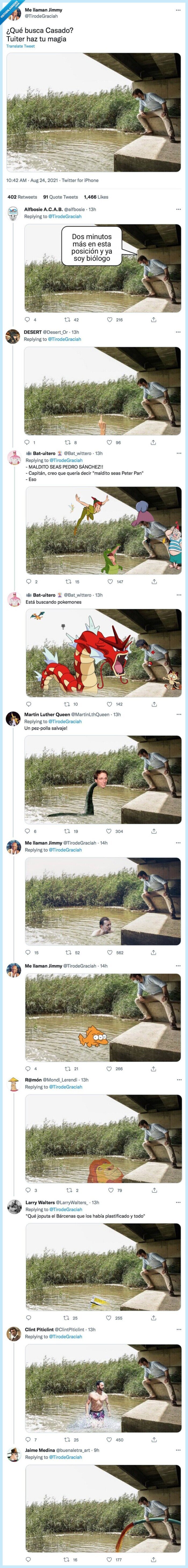 casado,tuiter,buscar,magia,agua