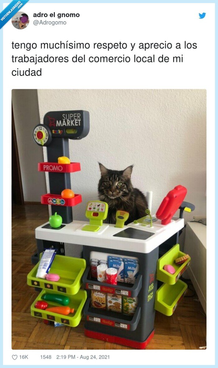 trabajadores,gato,comercio,respeto,aprecio,ciudad