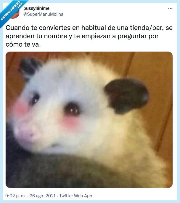 habitual,tienda,bar,preguntar,nombre