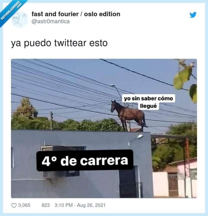 carrera,llegar,cuarto