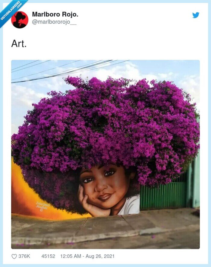 arte,arbusto,pelo,chica,graffiti