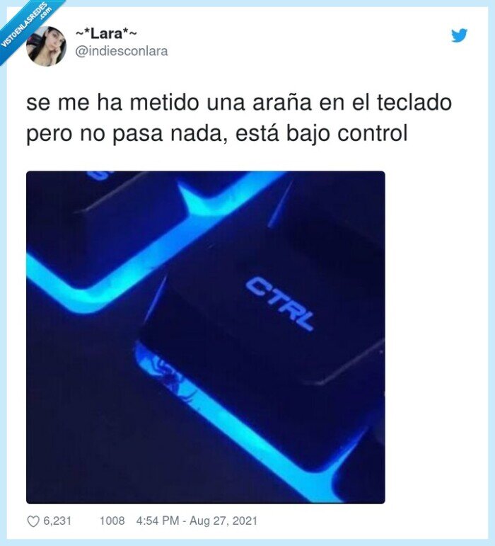 teclado,control,metido,araña,nada