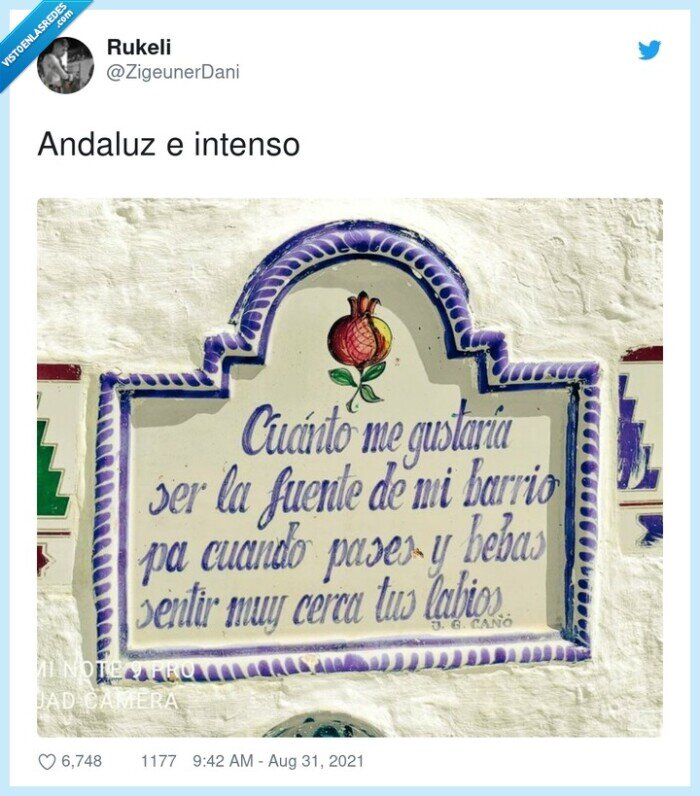 andaluz,intenso,pared,placa