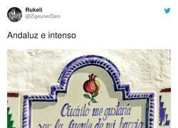 Enlace a Made in Andalucía, por @ZigeunerDani