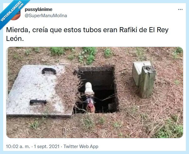 rafiki,rey león,tubos