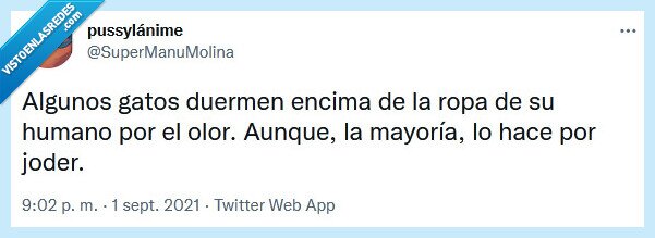 olor,gato,joder,humano