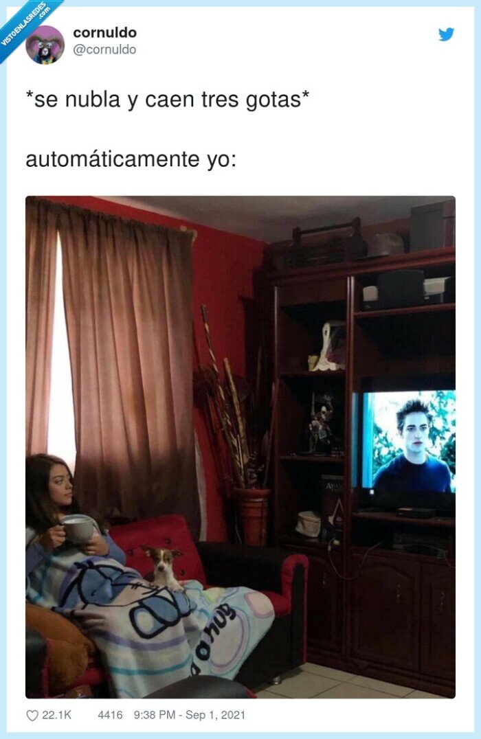 automáticamente,gotas,nubla,caer,crepusculo