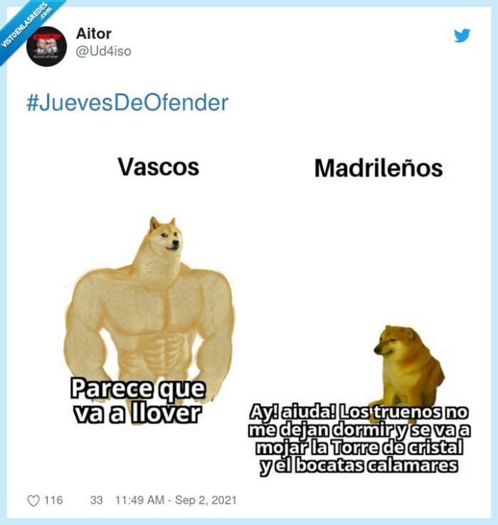 cheems,doge,madrid,lluvia