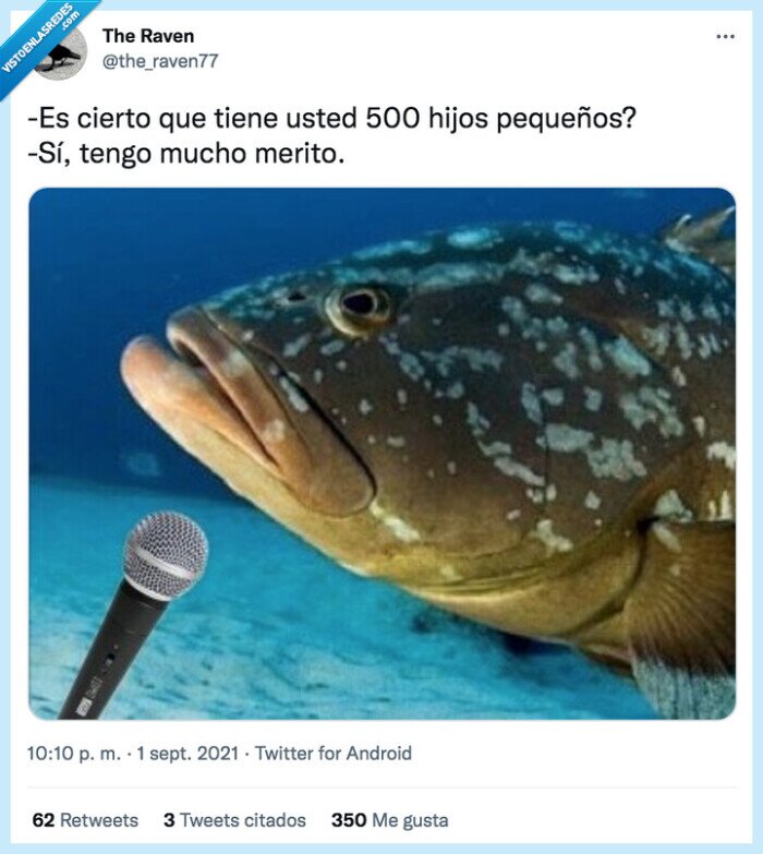 pequeños,cierto,merito,usted,hijos,mero