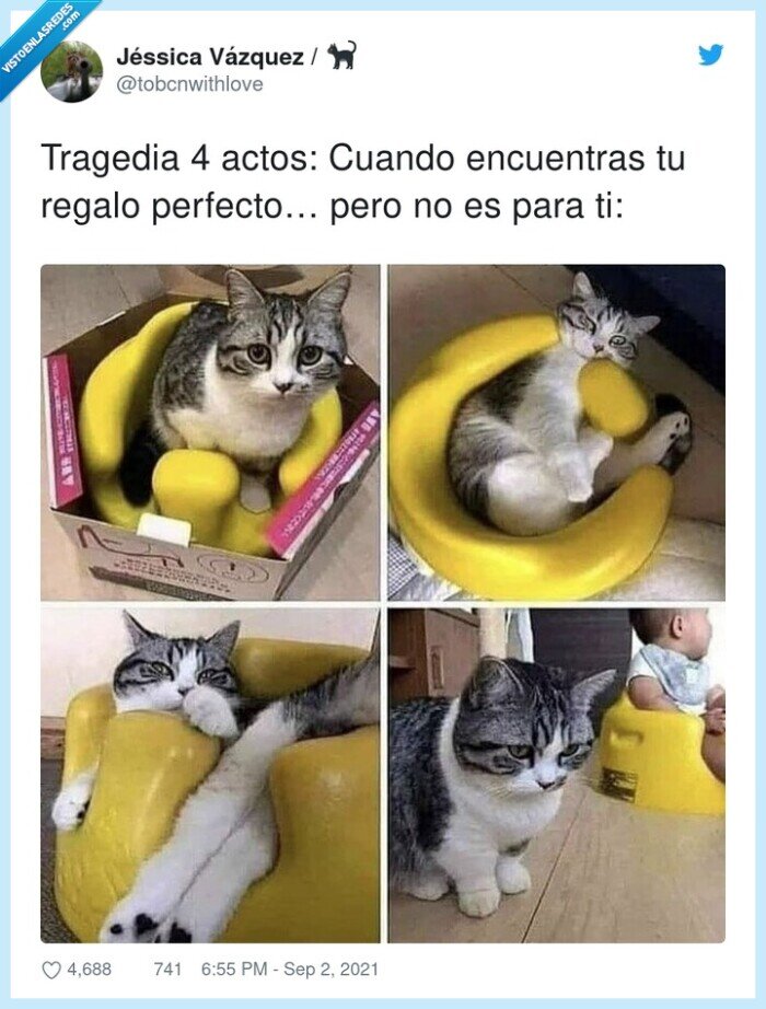 gato,tragedia,cuatrp,actos,regalo