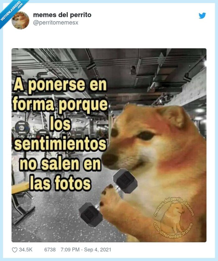 fuerte,sentimientos,fotos,gym