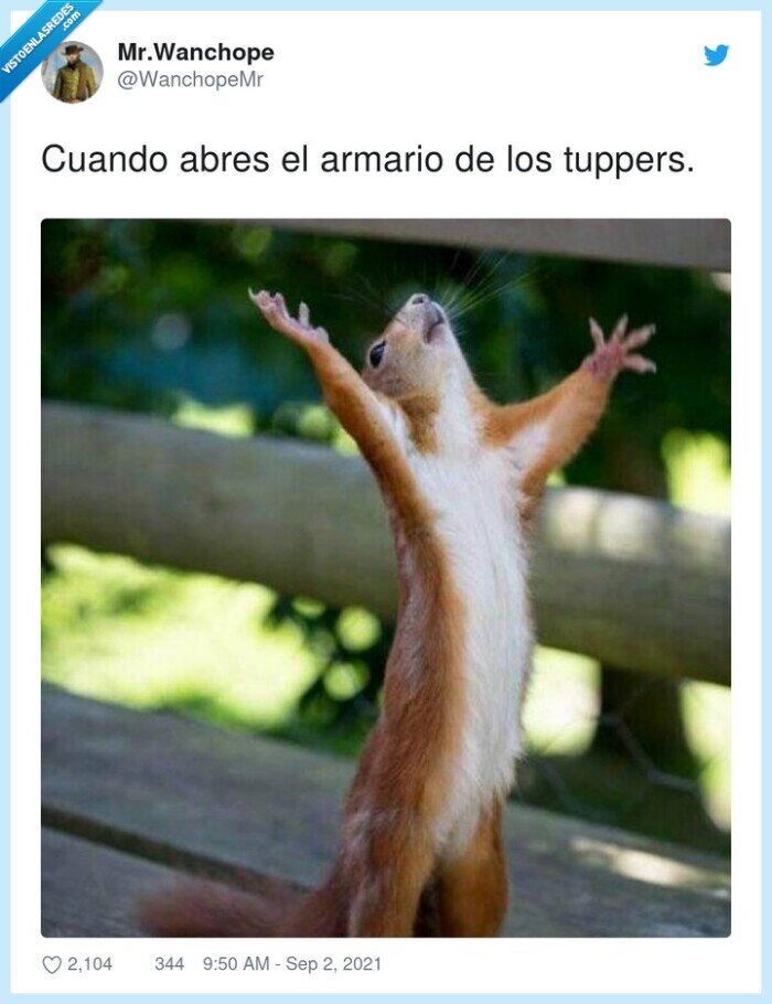 armario,tuppers,abres