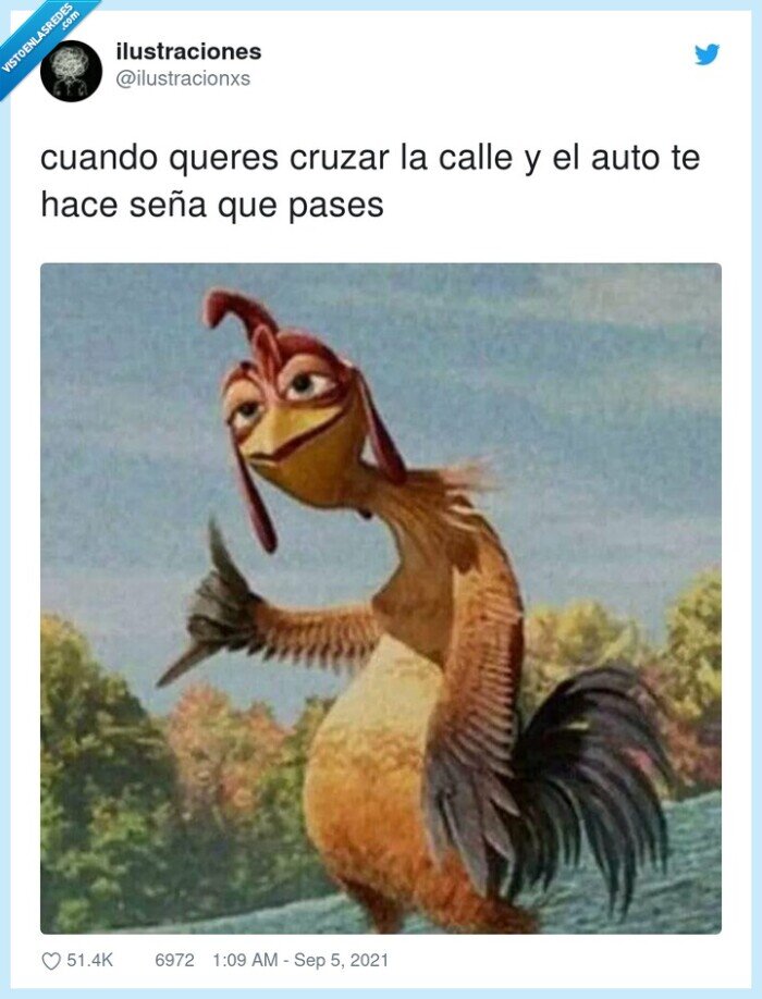 cruzar,calle,coche,señales