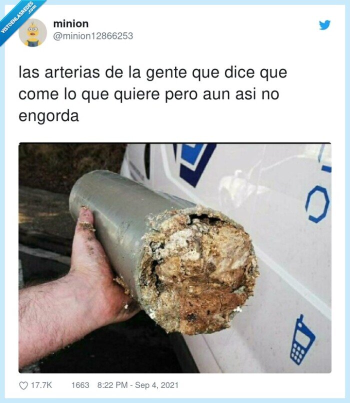 arterias,engorda,gente,comer