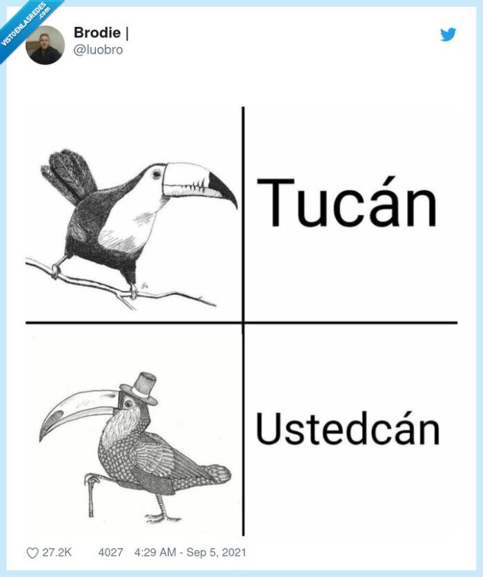 tucán,ustedcan