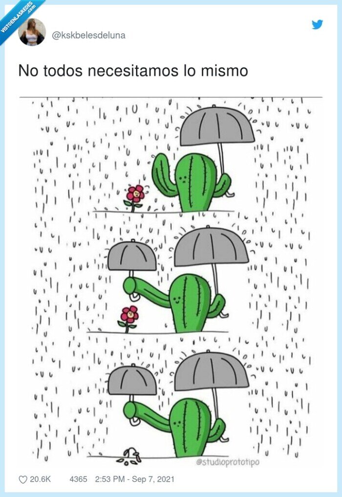 cactus,flor,necesidades,dibujo,ilustración