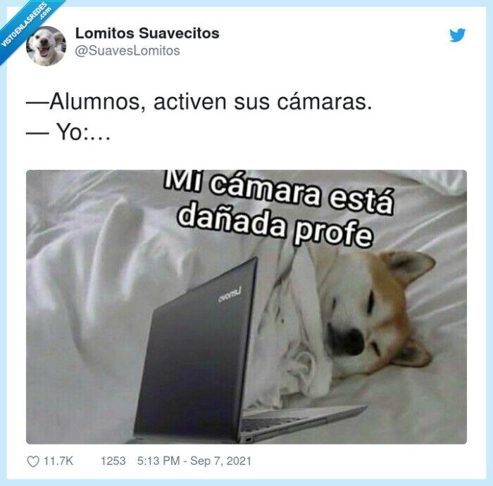 alumnos,clases,profesores,cámaras