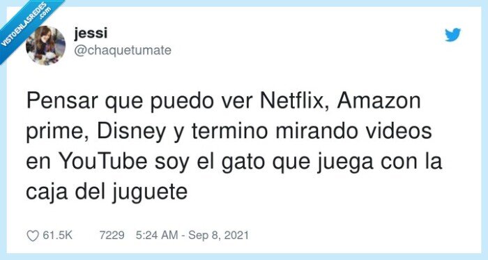 netflix,juguete,youtube,disney,gato