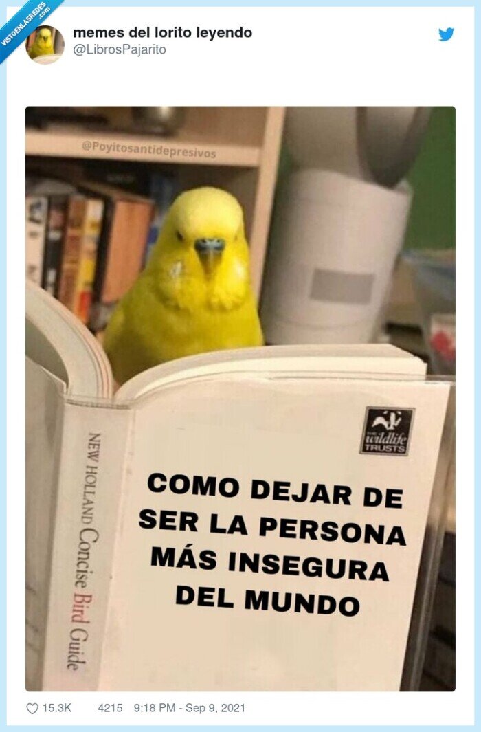 libro,persona,insegura,confianza