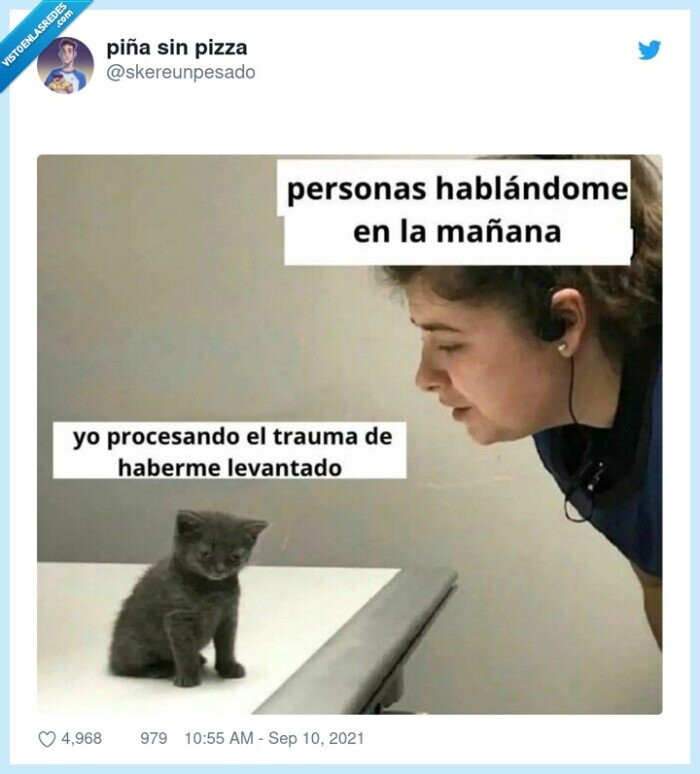 gato,levantarse,hablar,mañana