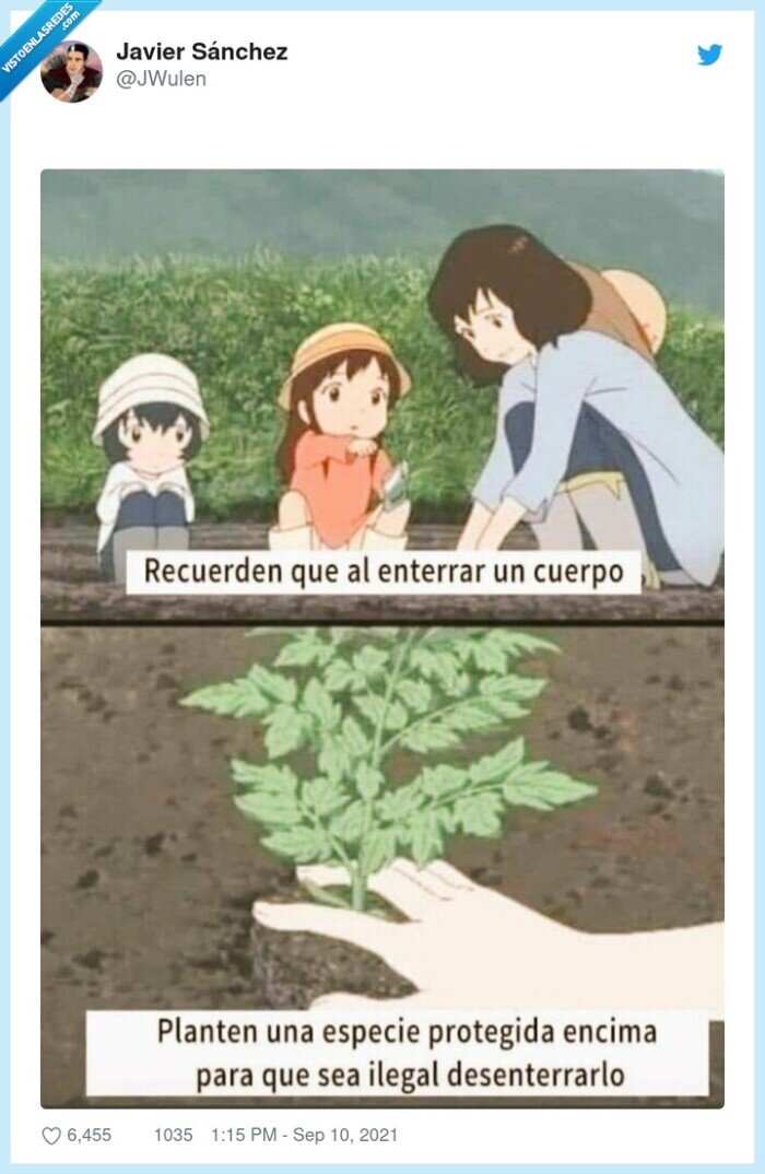 enterrar,especie protegida