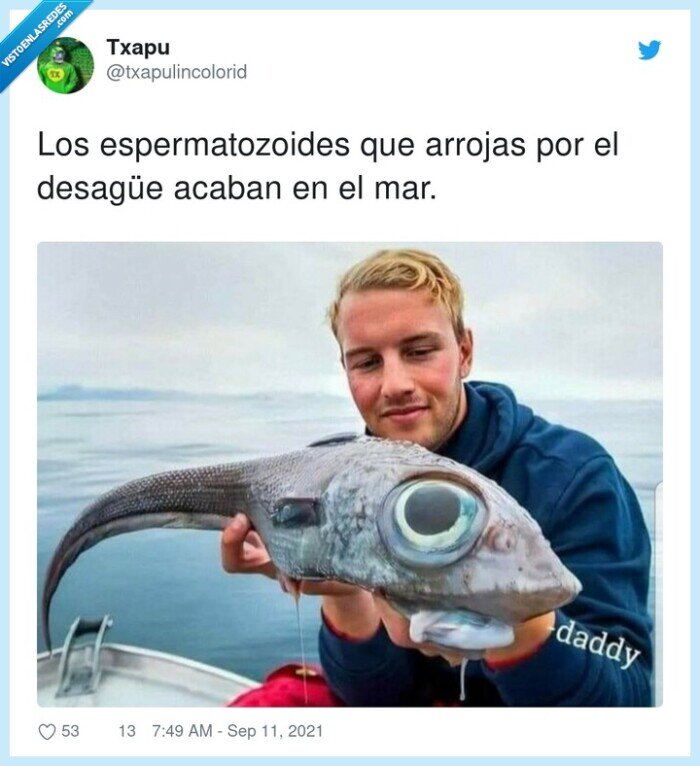 espermatozoides,desagüe,arrojar,mar