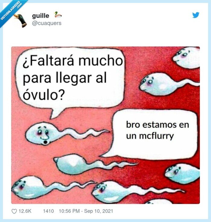 espermatozoides,&oacute;vulo,mcflurry
