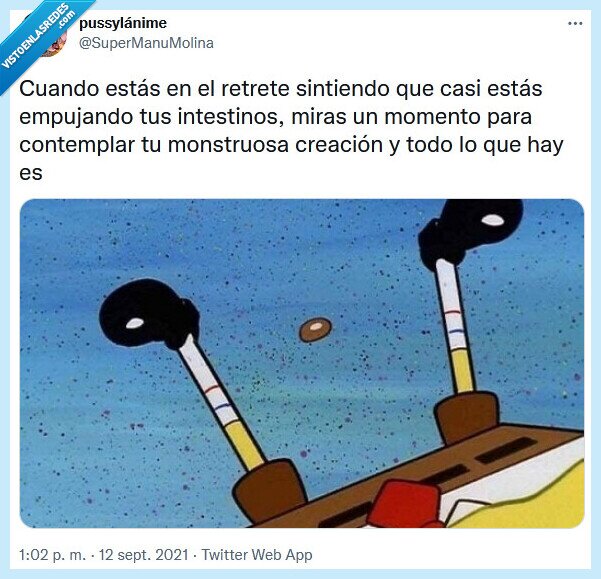 retrete,popó,contemplar