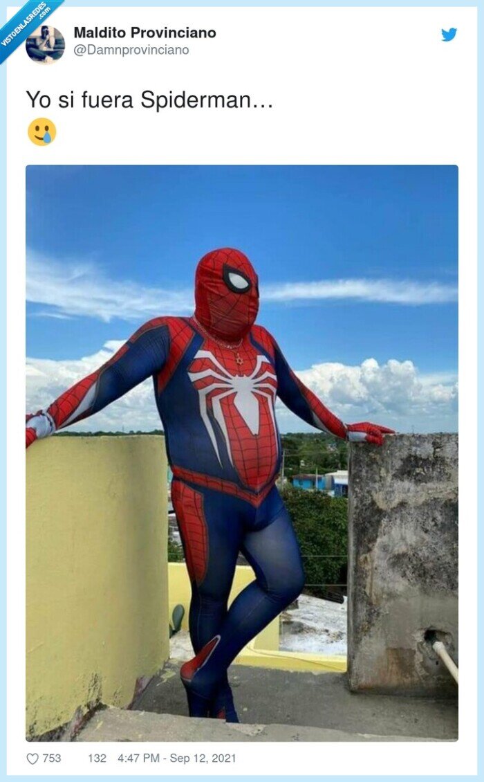 spiderman,disfraz,gordo