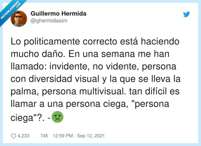 politicamente,multivisual,invidente,diversidad,ciego,difícil