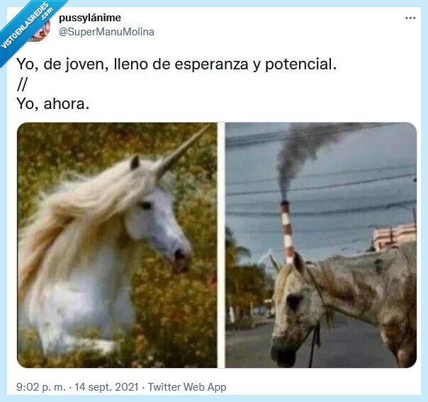 joven,esperanza,potencial