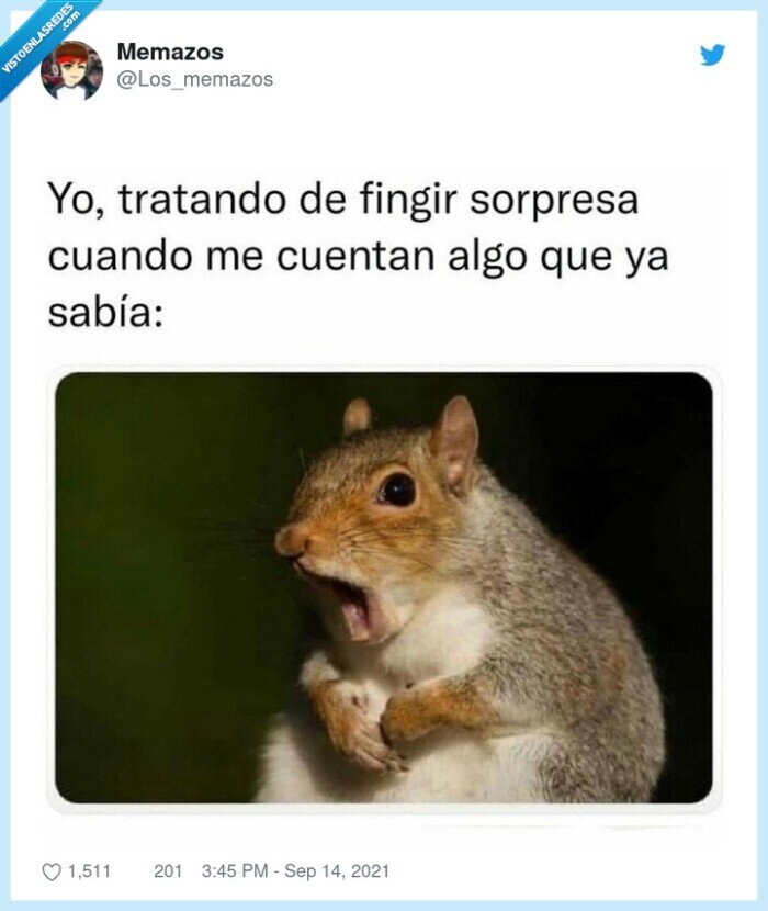 ardilla,sorpresa,fingir