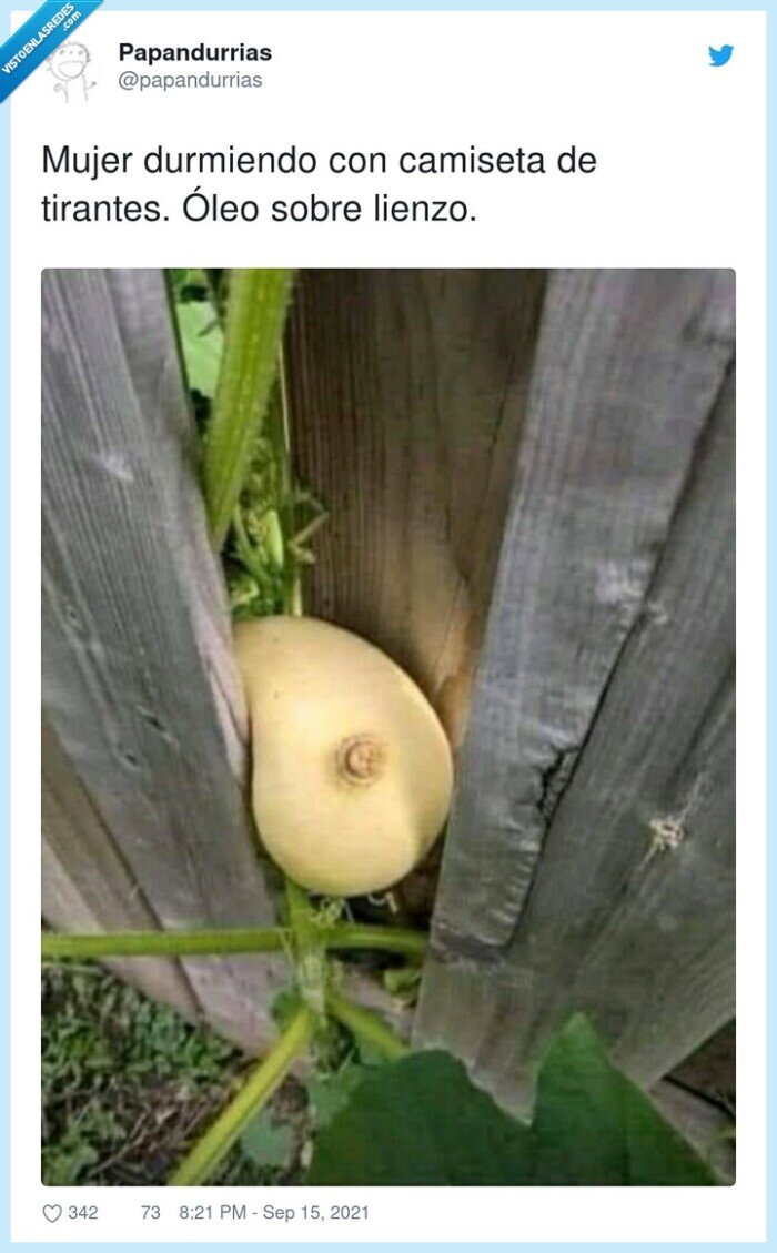 durmiendo,camiseta,tirantes,lienzo,mujer,óleo