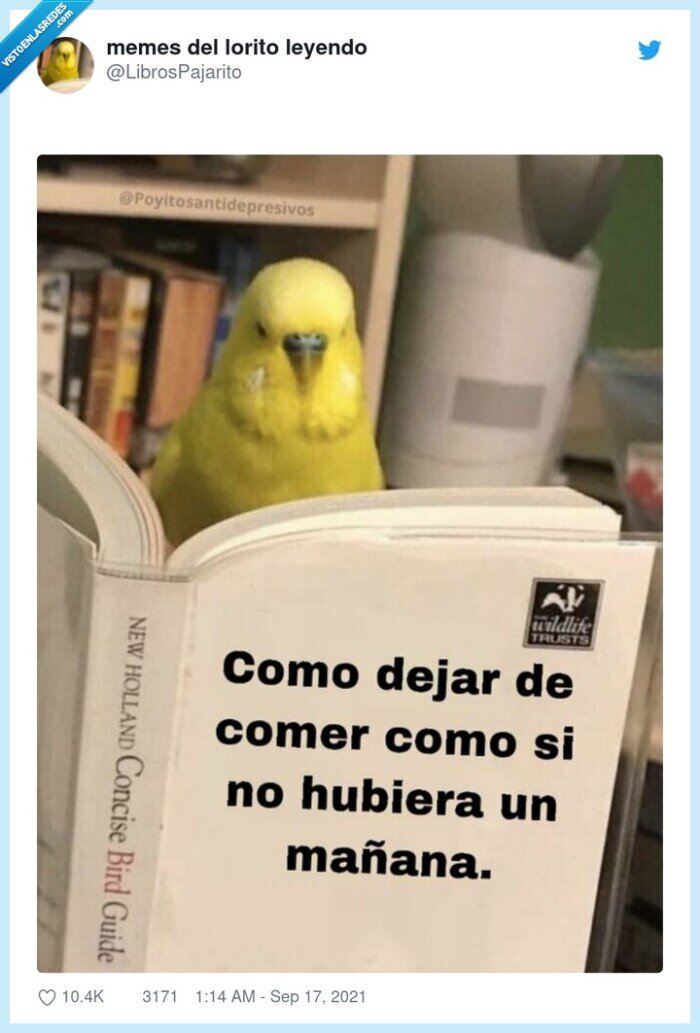 comer,dejar,libro