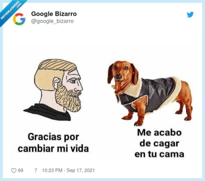perro,cagarse,cambiar la vida