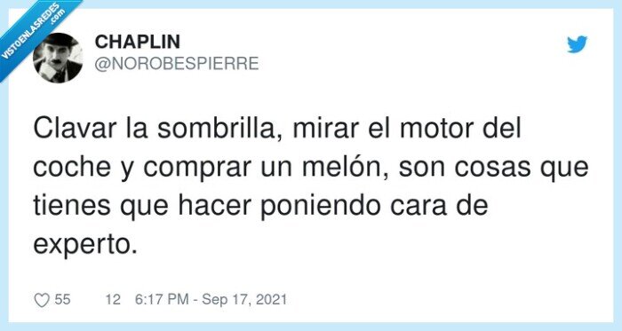 sombrilla,experto,melón,motor